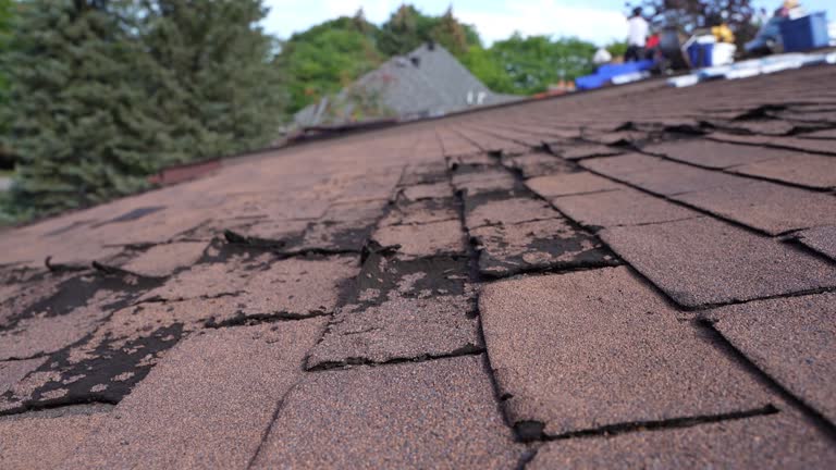 Steel Roofing in Violet, LA